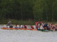Drachenbootcup in Halle